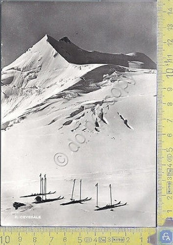 Cevedale-Il Cevedale-Mountain View- 1964 - Cartolina - Postcard