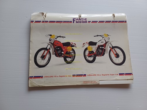 Fantic 50 Caballero Regolarità Casa - Super 6M 1979 catalogo …