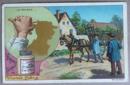 Figurine Liebig - FRA - Sang. 352 - Ombre con …