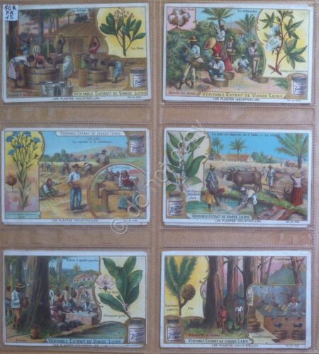 Figurine Liebig - Francia - Sang. 707 - Piante industriali …