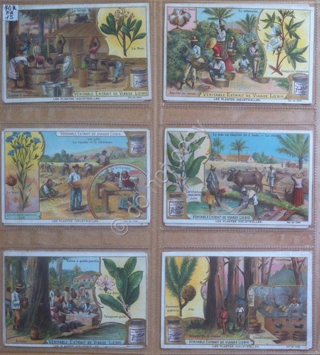 Figurine Liebig - Francia - Sang. 707 - Piante industriali …