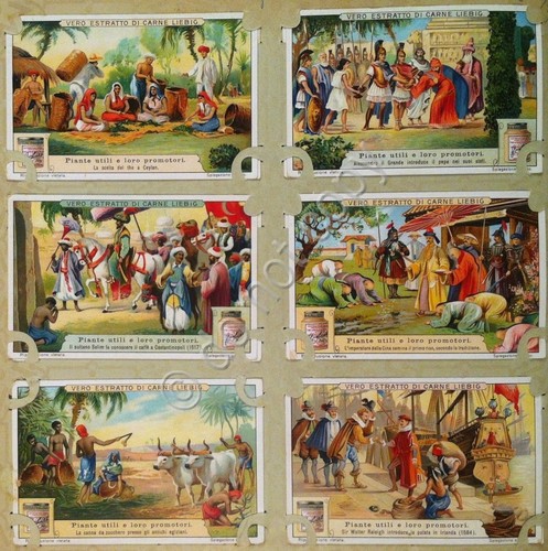 Figurine Liebig - Italia - Sang. 1100 - Piante utili …