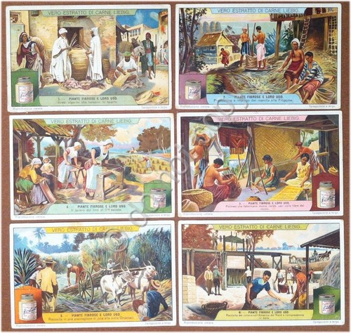 Figurine Liebig - Italia - Sang. 1147 - Piante fibrose …