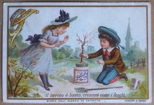 Figurine Liebig ITA - S.368 - Storia dell'albero da Estratto …