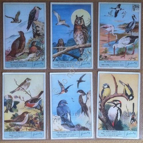 Figurine Liebig Italia 1964 - S 1804 - Gli uccelli …