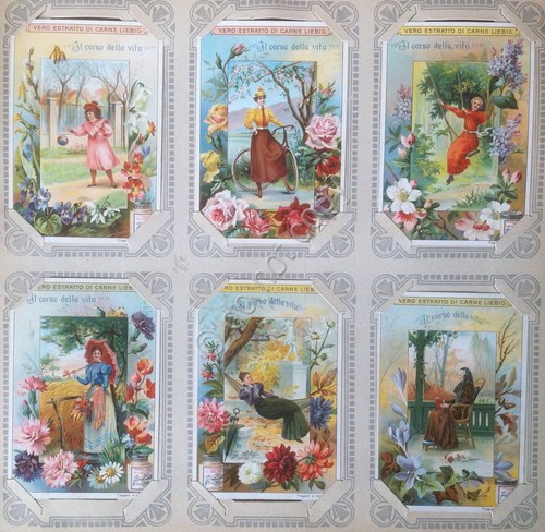 Figurine Liebig Italia Sang. 689 - Il Corso della Vita …