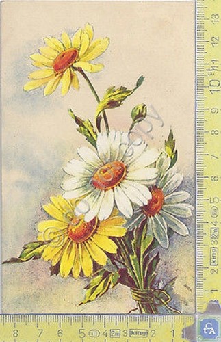 Fiori - Flowers - 1935 - Cartolina - Postcard