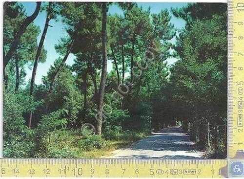 Forte dei Marmi - VIa Corsica - 1959