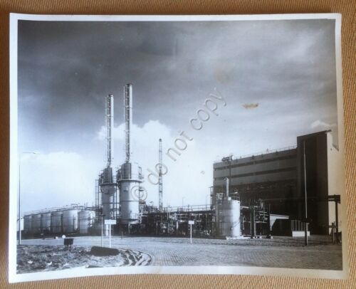 Fotografia Imperial Chemical Industries - Rozenburg anni '60 - con …