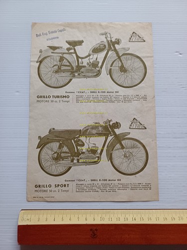 Gitan Grillo 50 Sport - Grillo 50 Turismo depliant italiano …