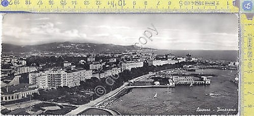 Livorno -Panorama - View - 1958 - Cartolina - Postcard
