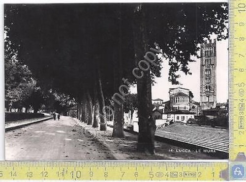 Lucca - Le Mura - '50s