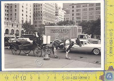 New York - Carrozza a cavalli - Horse Drawn Cab …