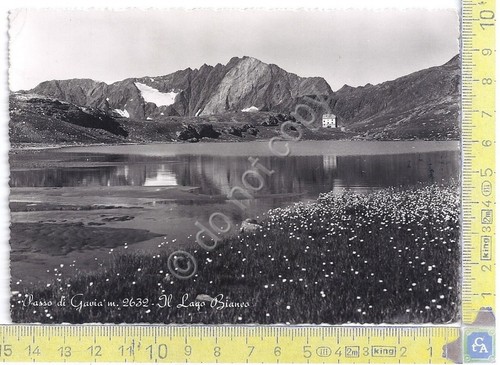 Passo di Gavia - Lago Bianco - 1952
