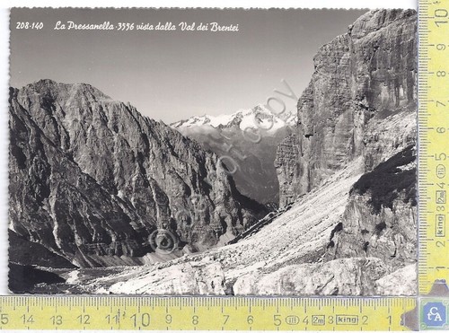 Presanella - Errore di Stampa Pressanella - 1955