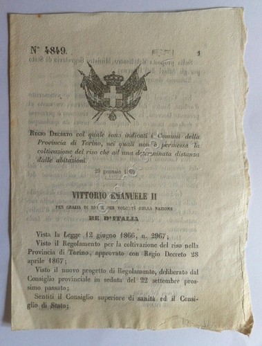 Regio Decreto 4849 comuni provincia Torino coltivazione riso non permessa