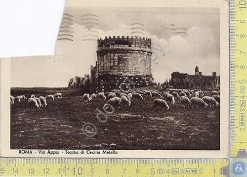 Roma - Via Appia con pecore - Tomba di Cecilia …