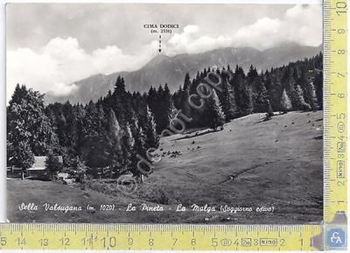 Sella Valsugana - Panorama - View - 1962 - Cartolina …