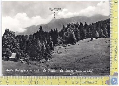 Sella Valsugana - Panorama - View - 1962 - Cartolina …