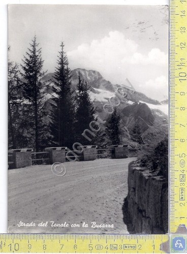 Strada del Tonale con la Busazza - Timbro Rivendita Tabacchi …