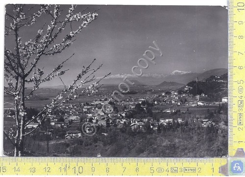 Tarcento - Panorama - View - 1951