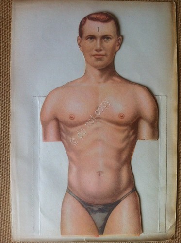 Tavola anatomica pieghevole anni '50 - da Il Medico in …