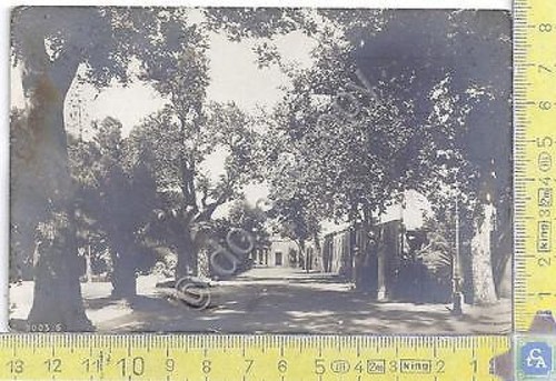 Torino - Parco - 1946