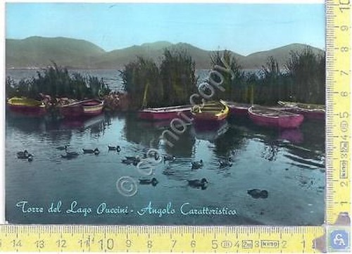 Torre del Lago Puccini - Angolo caratteristico - 1966 - …