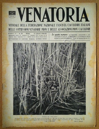 VENATORIA - Organo Federazione Caccia - 1936 - cinofilia caccia