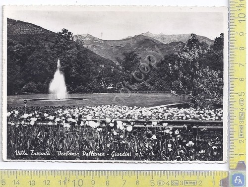 Verbania Pallanza - Villa Taranto - 1957