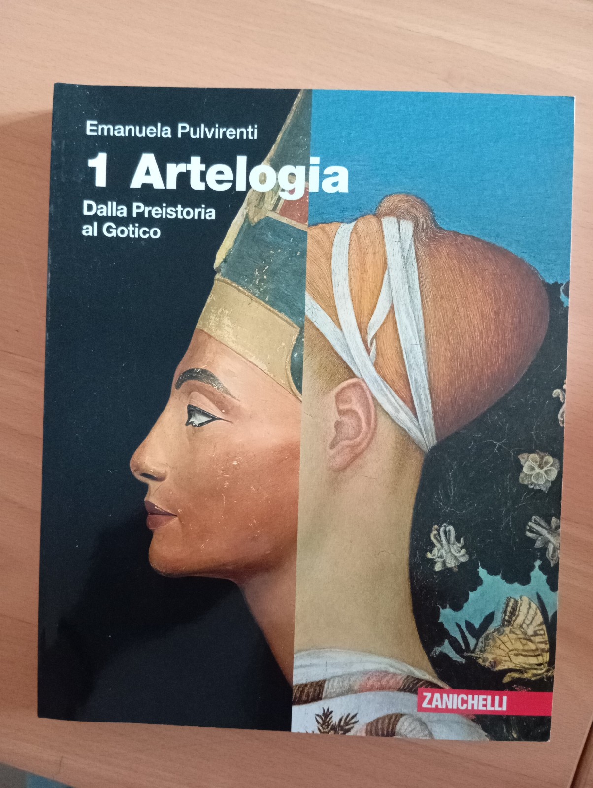 Artelogia. Dalla preistoria al Gotico, Emanuela Pulvirenti, Zanichelli, 2021