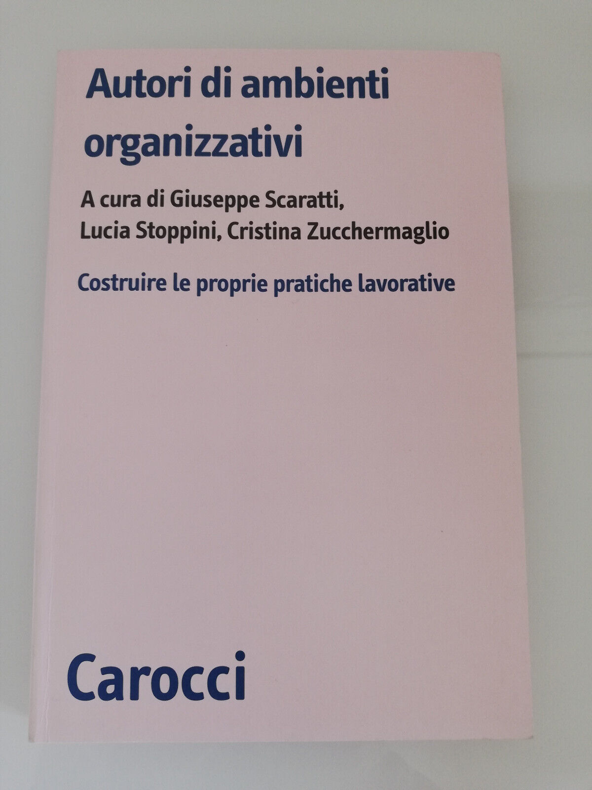 Autori di ambienti organizzativi, Scaratti Stoppini Zucchermaglio, 2009, Nuovo