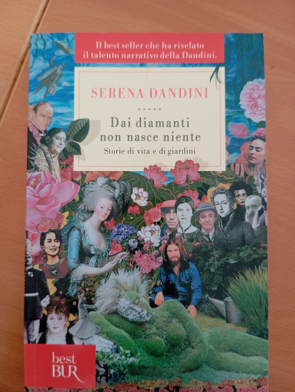 Dai diamanti non nasce niente, Serena Dandini, Rizzoli, 2013