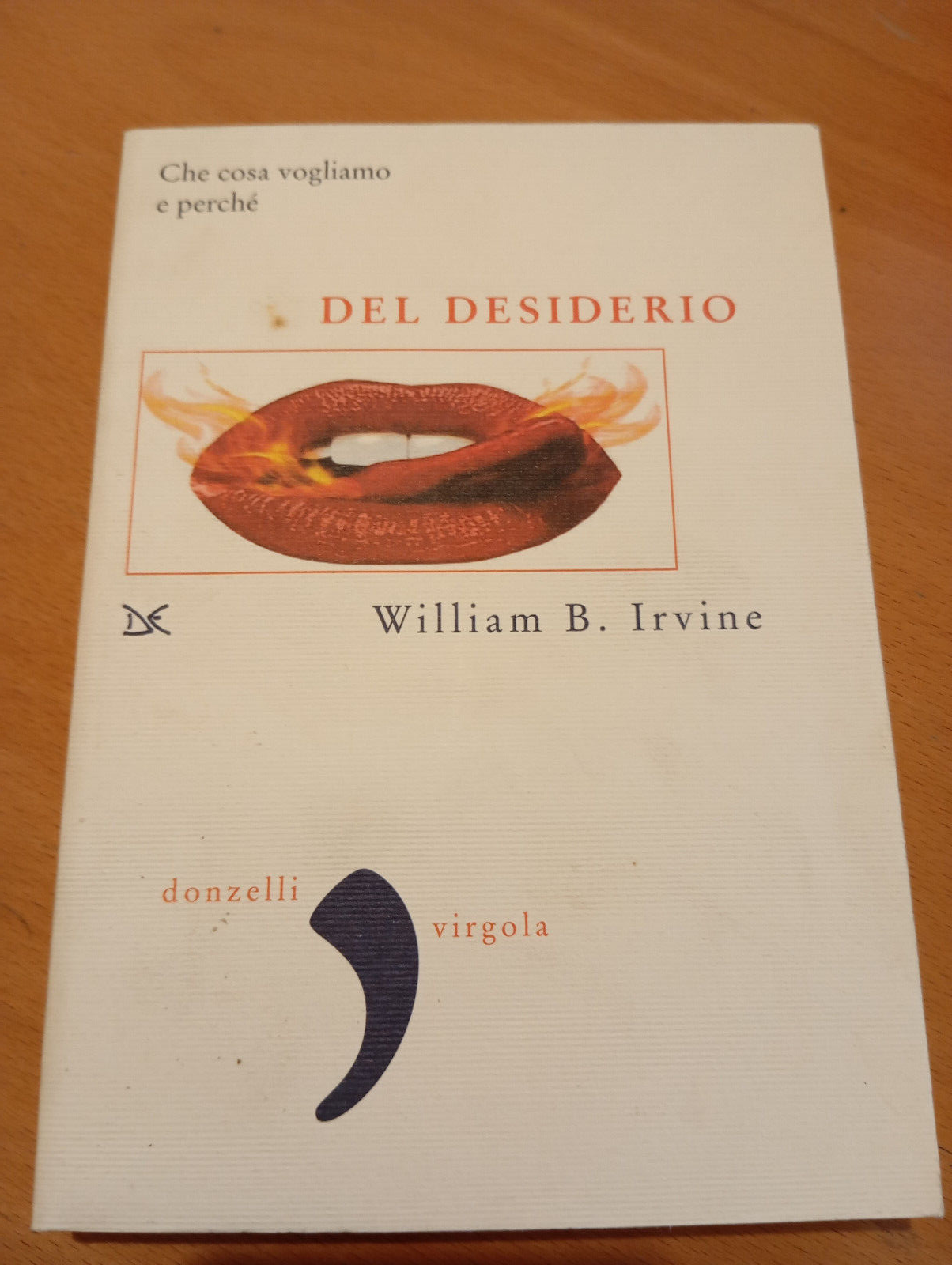 Del desiderio, William B. Irvine, Donzelli, 2006