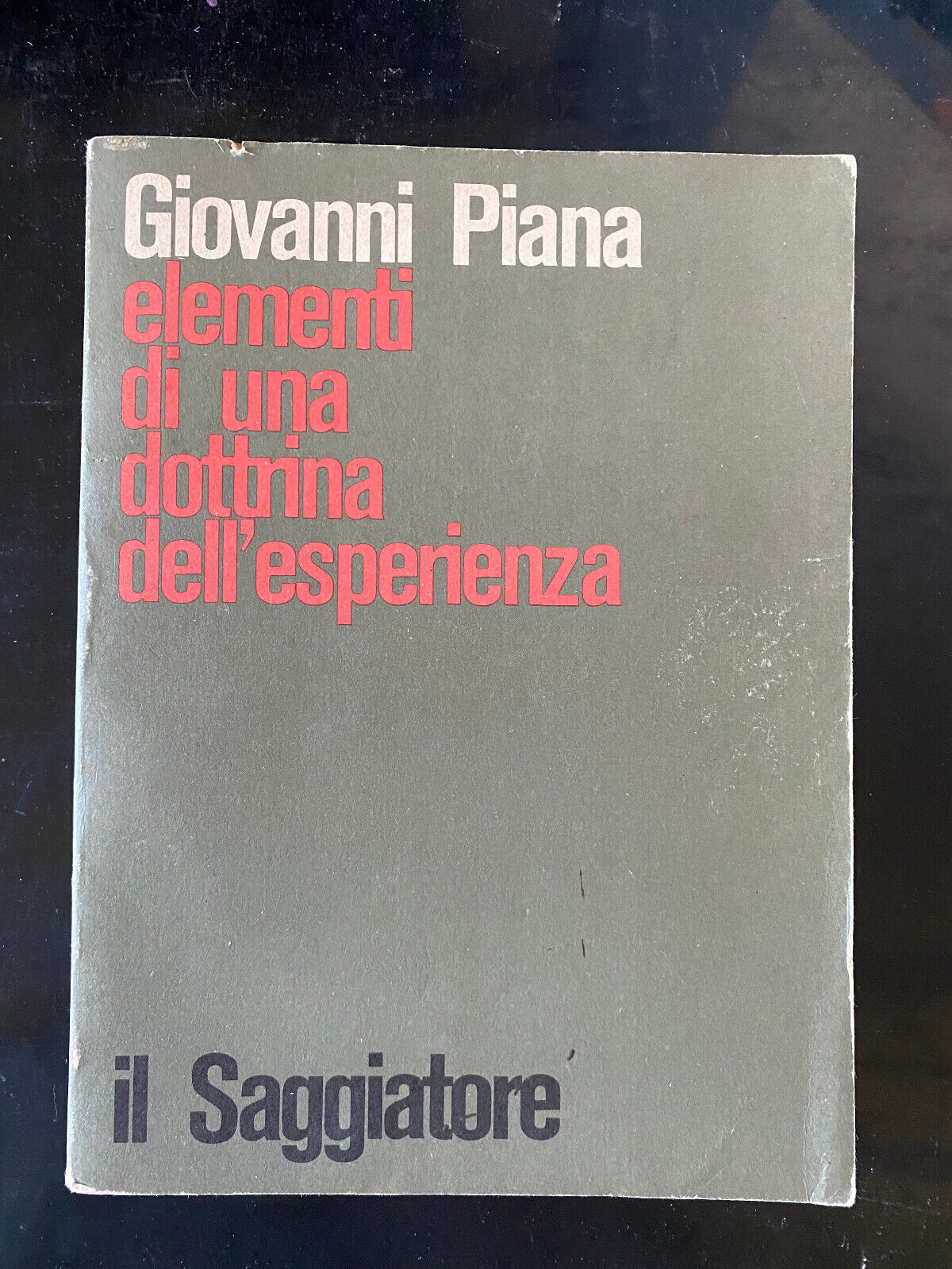 Elementi di una dottrina dell'esperienza, Giovanni Piana, Il Saggiatore, 1979