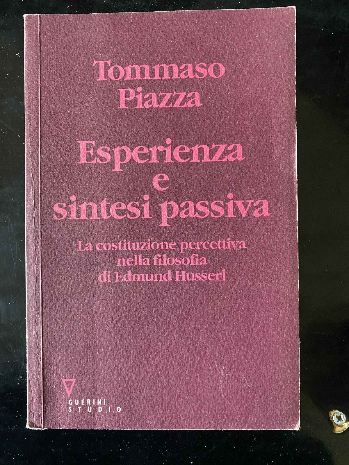 Esperienza e sintesi passiva, Tommaso Piazza, Guerini, 2005