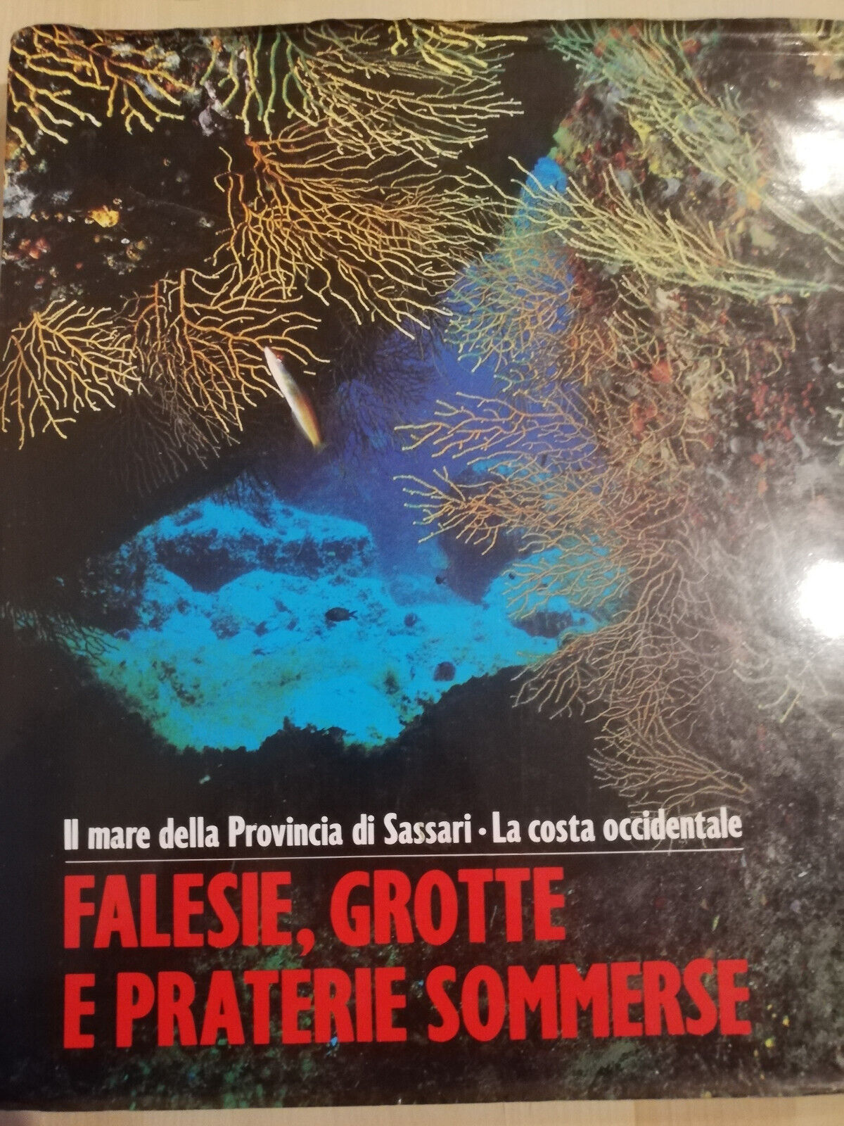 Falesie, grotte e praterie sommerse. Sassari, 1991, Amilcare Pizzi editore