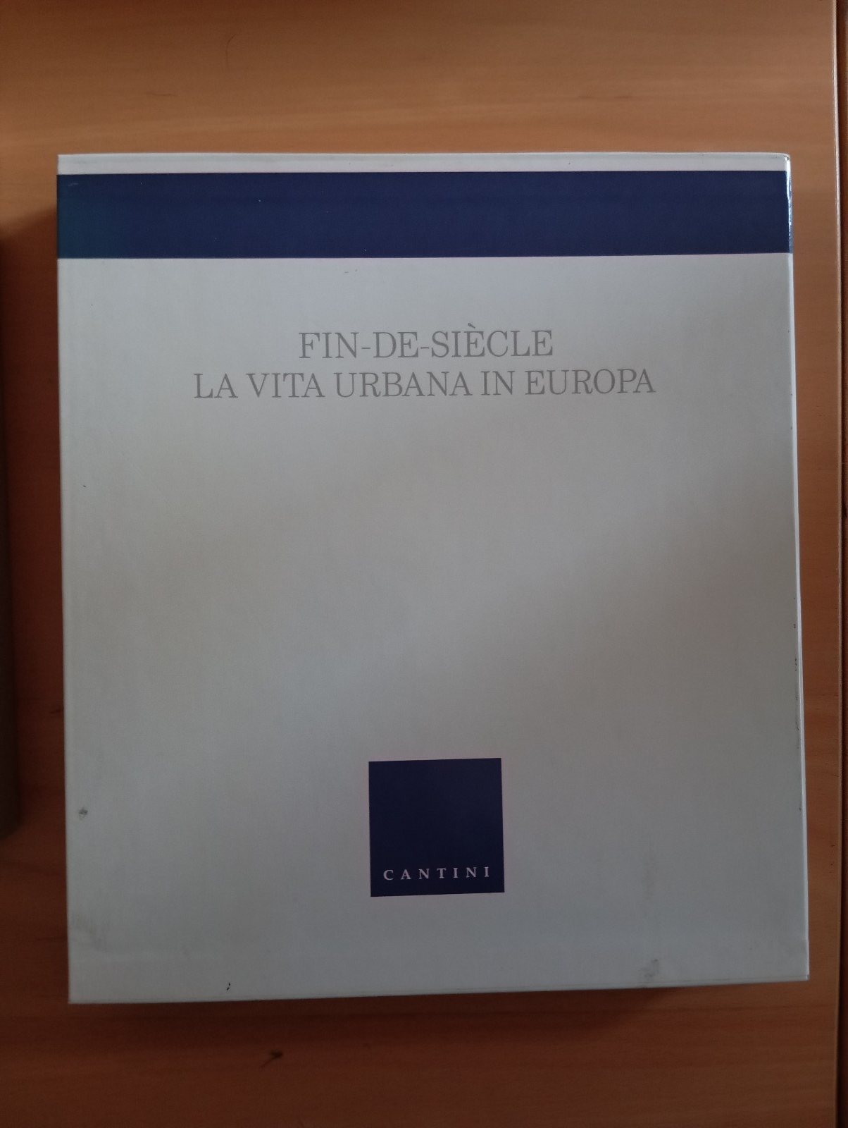 Fien de Siecle, la vita urbana in Europa, Cantini, 1991