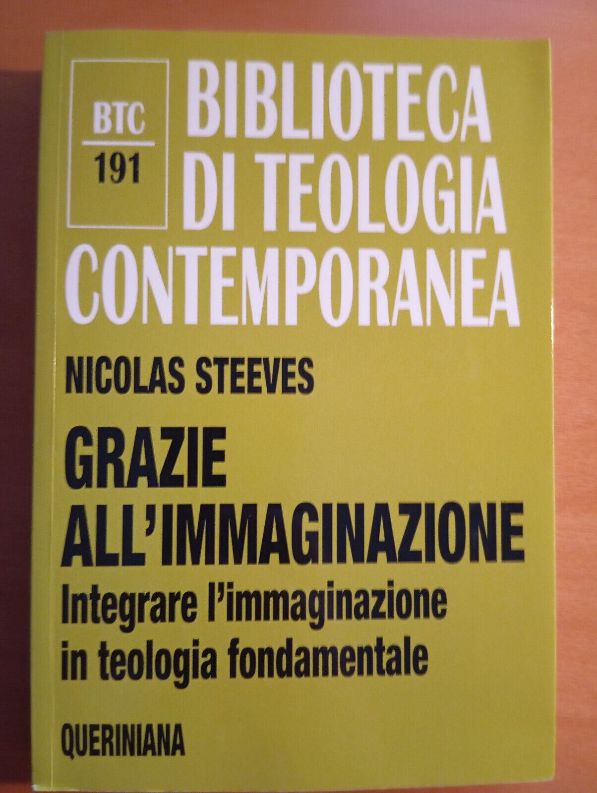 Grazie all'immaginazione, Nicolas Steeves, Queriniana, 2018