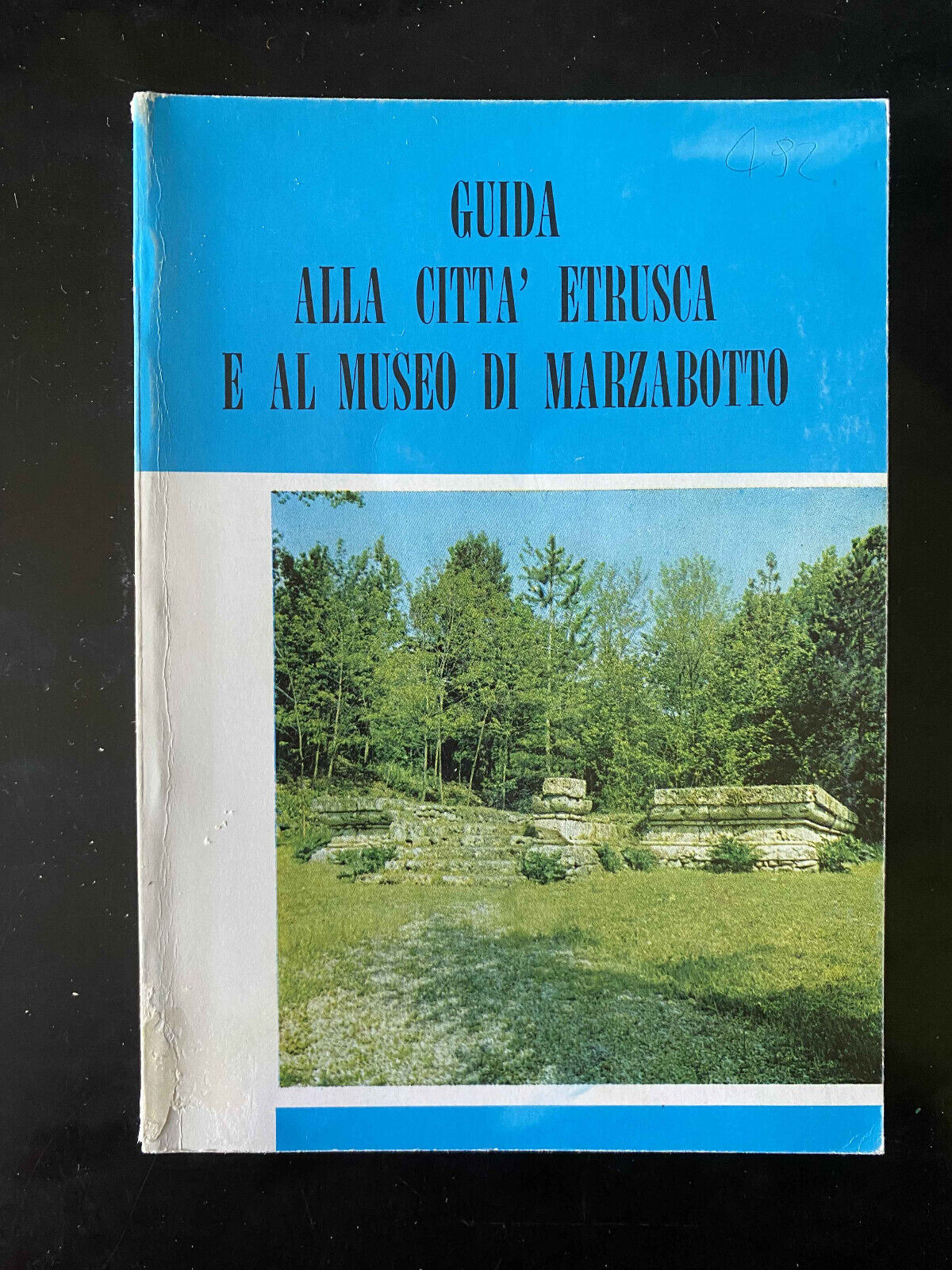 Guida alla città etrusca e al museo di Marzabotto