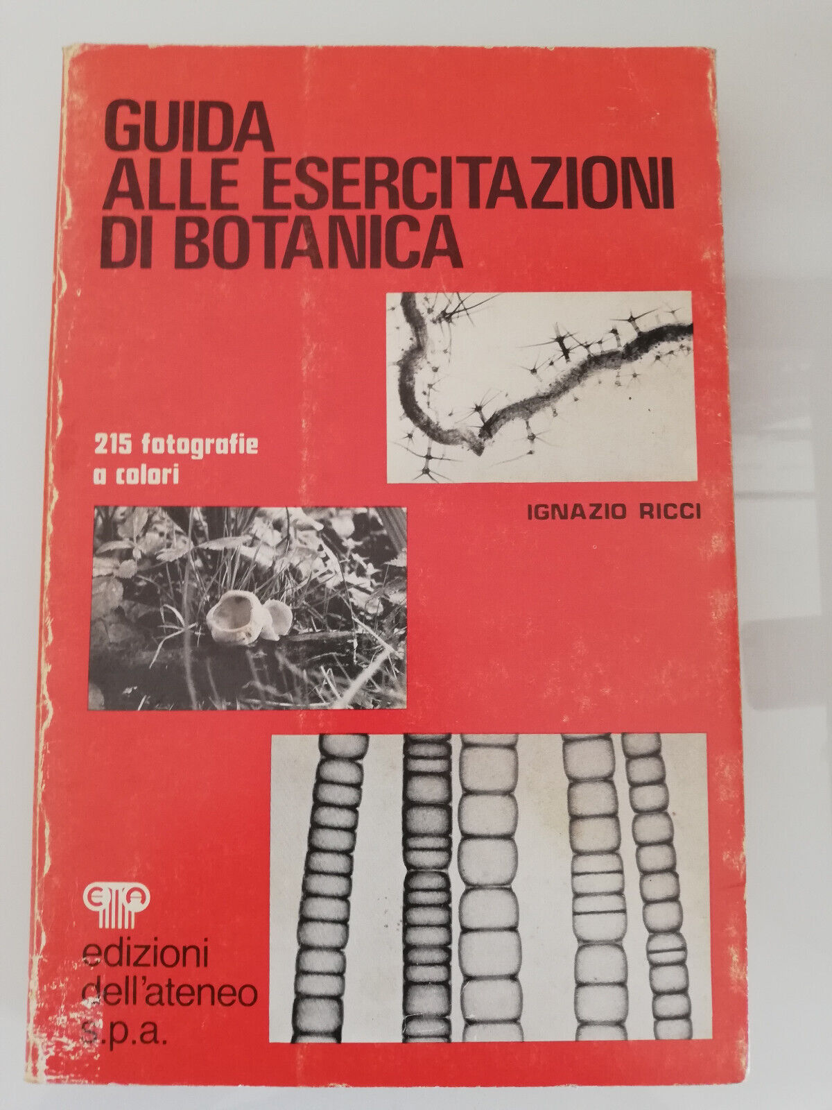 Guida alle esercitazioni di botanica, Ignazio Ricci, 1973, Edizioni dell'ateneo