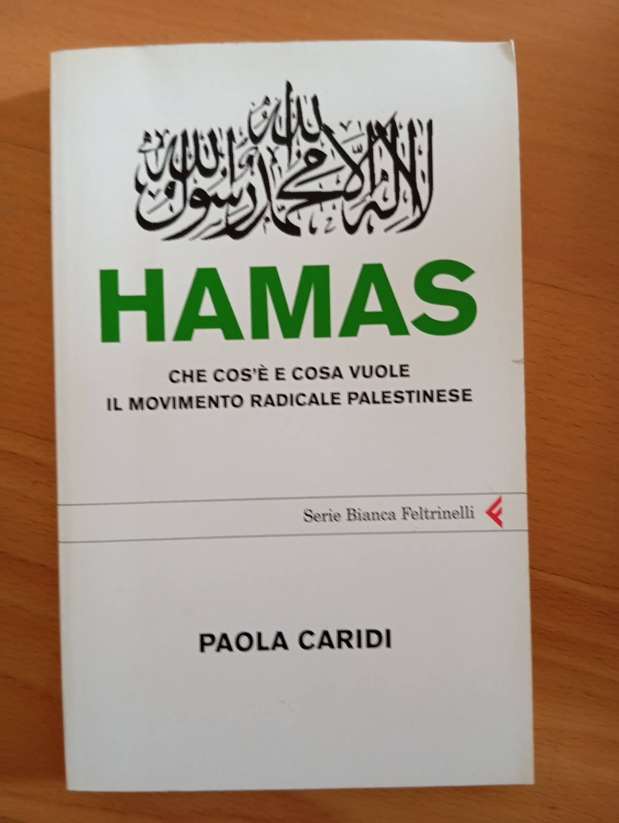 Hamas. Che cos'è e cosa vuole il movimento, Paola Caridi, …