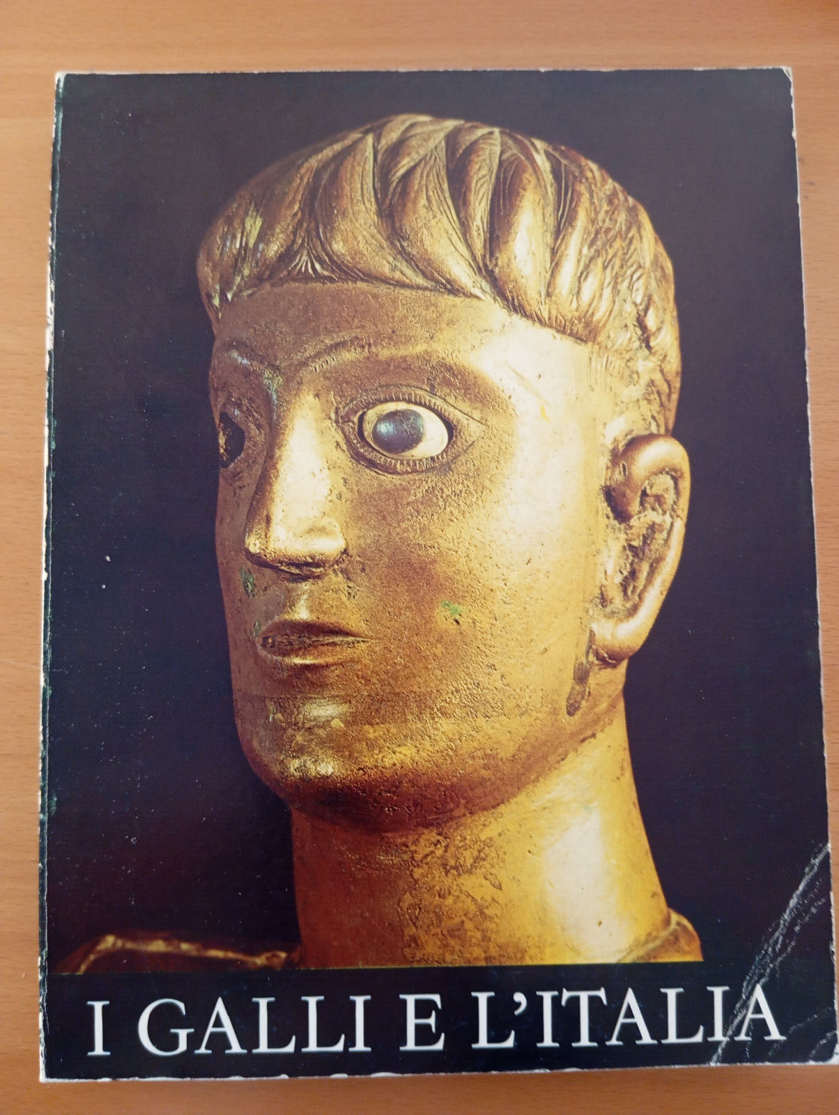 I Galli e l'Italia, Soprintendenza archeologica di Roma, De Luca, …