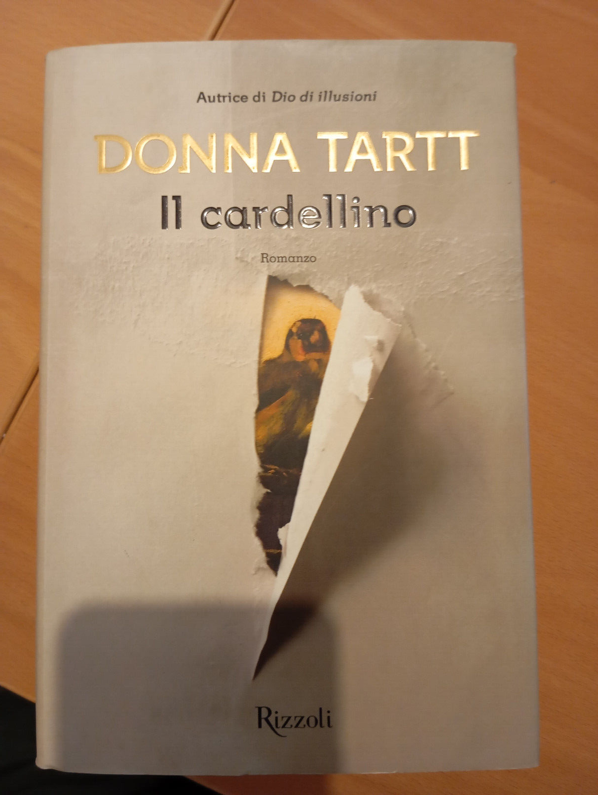 Il cardellino, Donna Tartt, Rizzoli, 2014