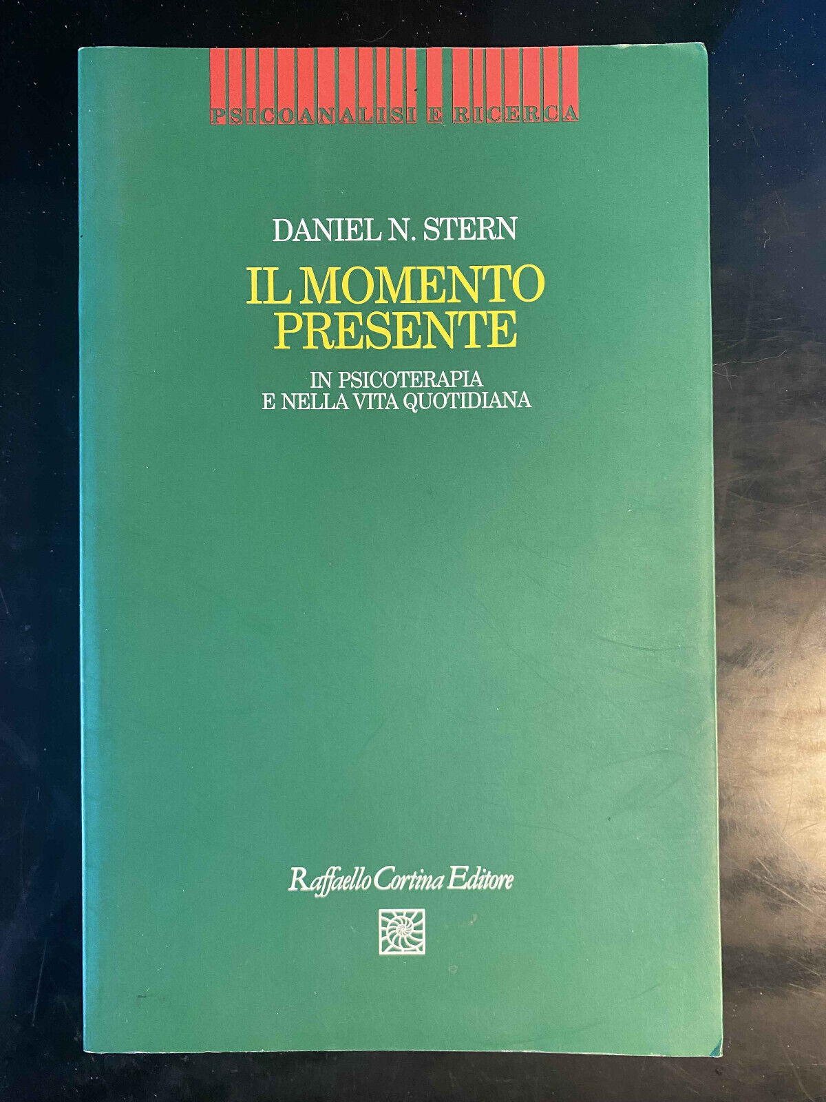 Il momento presente, Daniel N. Stein, Raffaele Cortina Editore, 2005