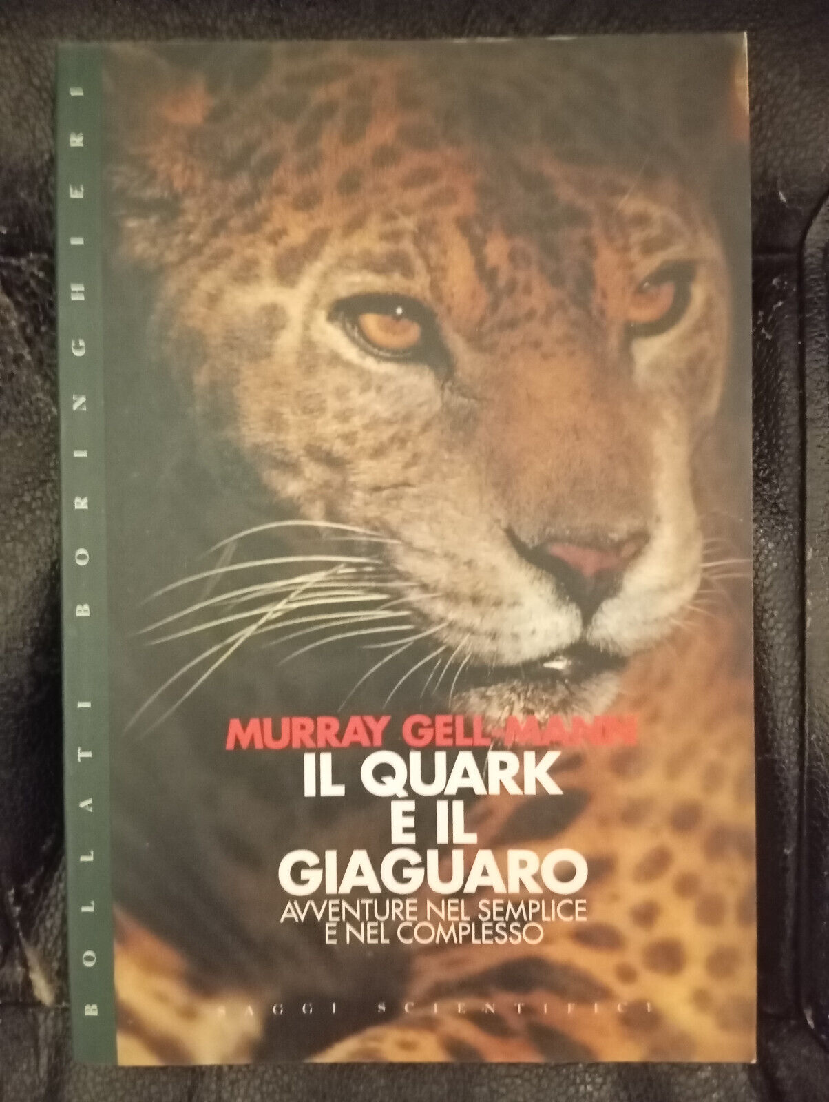 Il quark e il giaguaro, Murray Gell-Mann, Bollati Boringhieri, 1996