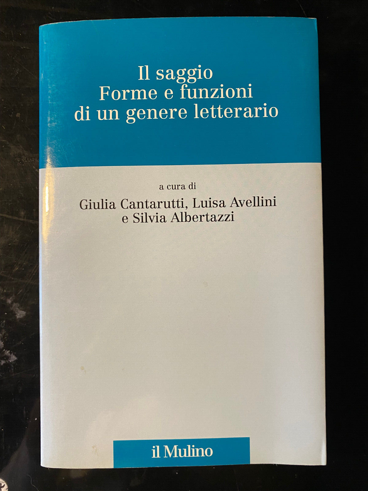 il saggio. Forme e funzioni di un genere letterario, Cantarutti, …