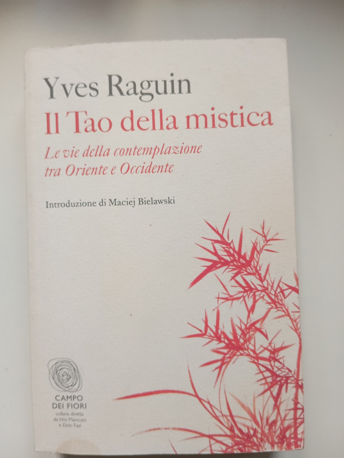 Il Tao della mistica, Yves Raguin, Fazi, 2013