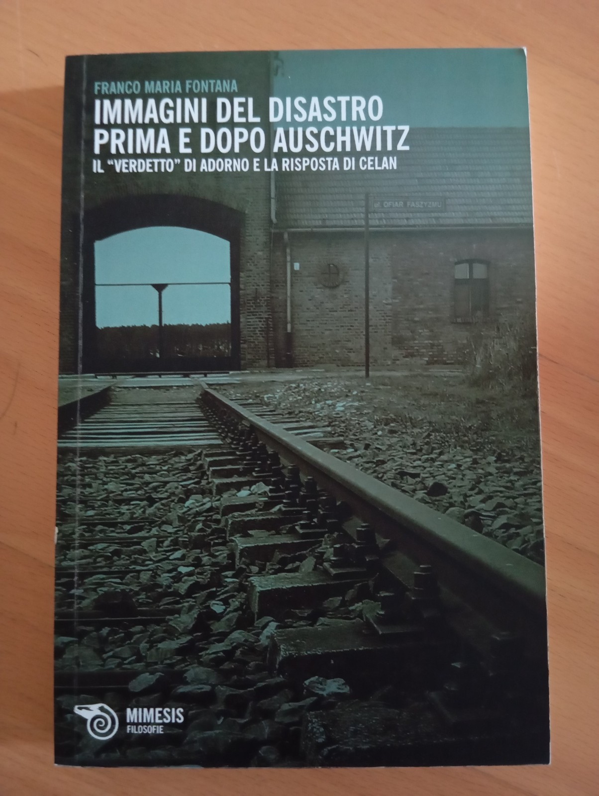Immagini del disastro. Prima e dopo Auschwitz, Franco M. Fontana, …