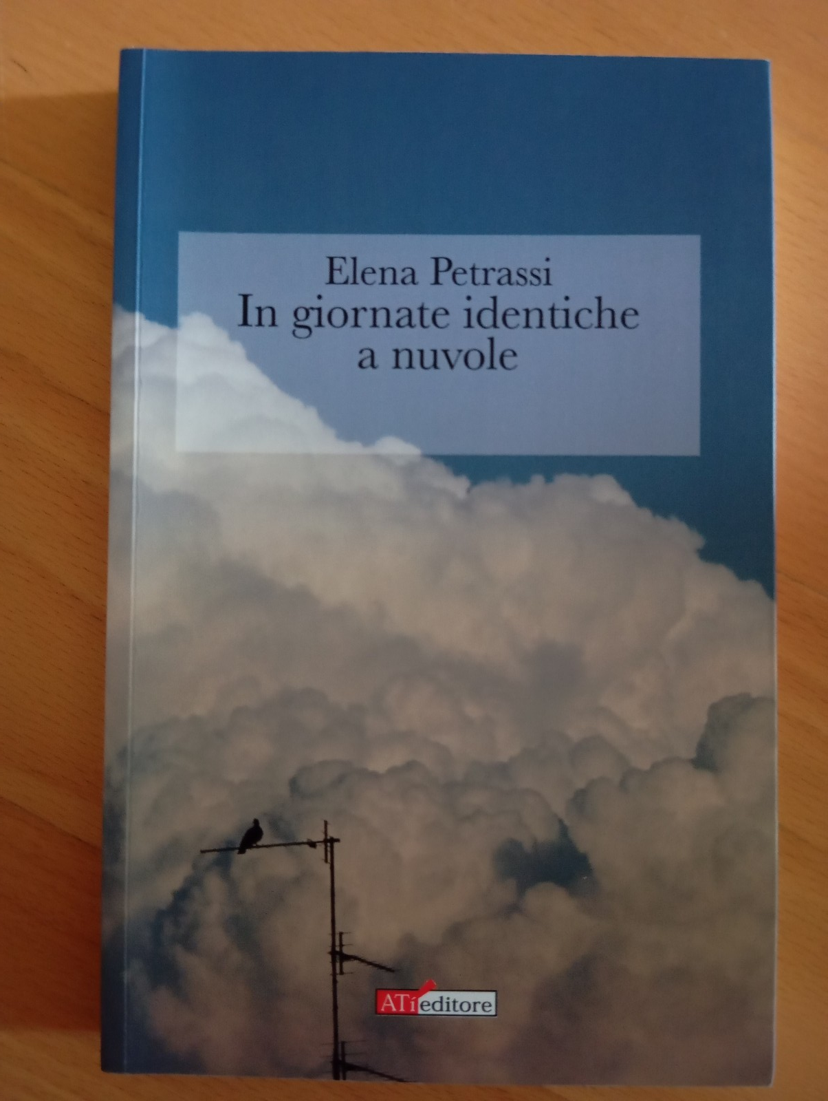In giornate identiche a nuvole, Elena Petrassi, ATi, 2017